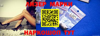 скорость Бердск