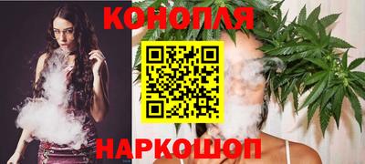 скорость Бердск