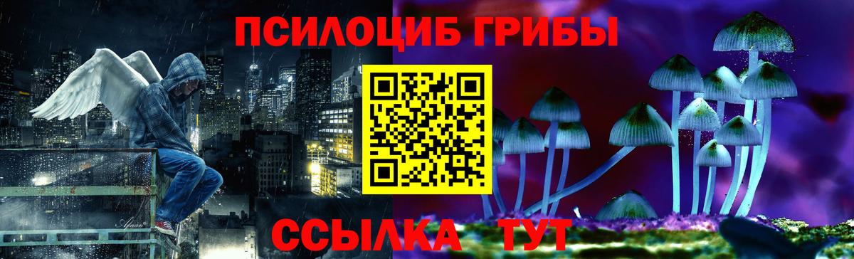 Светлоград  Галлюциногенные грибы ЛСД  купить  цена  Псилоцибиновые грибы мицелий  Вход с VPN 